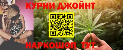 гидра Славгород