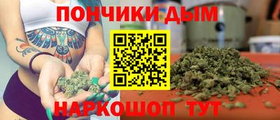 прущие крисы Сланцы