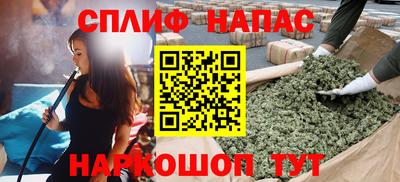 гидра Славгород