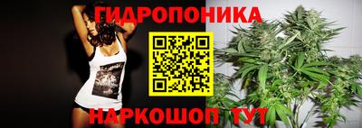 гидра Славгород
