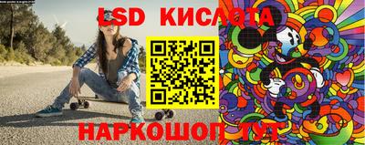 гидра Славгород