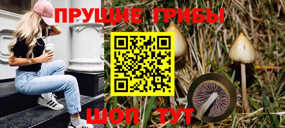 Галлюциногенные грибы Psilocybine cubensis  Вход с VPN  Новочебоксарск  Галлюциногенные грибы Cubensis 