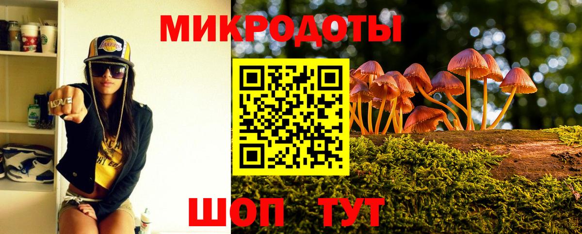 Псилоцибиновые грибы мицелий Новочебоксарск